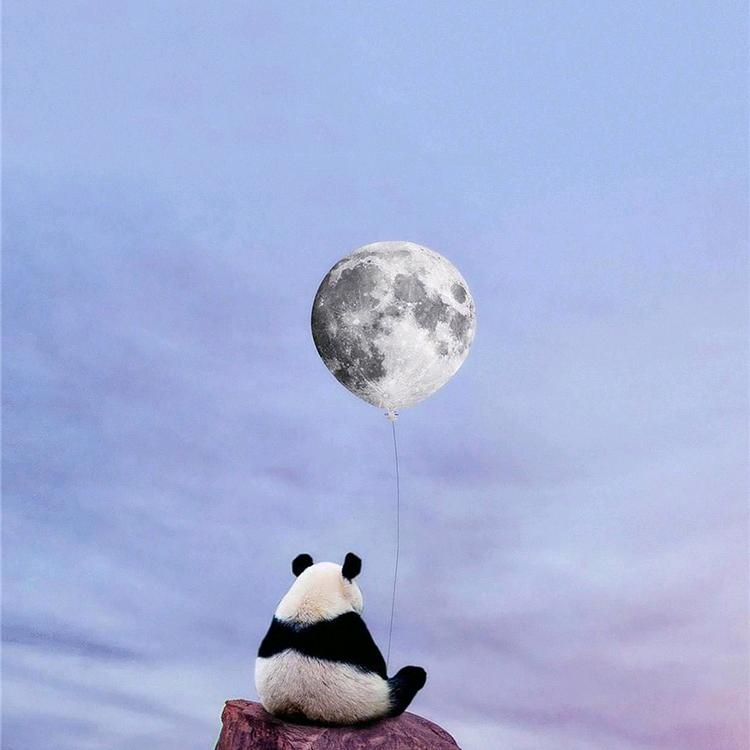 ☆☆