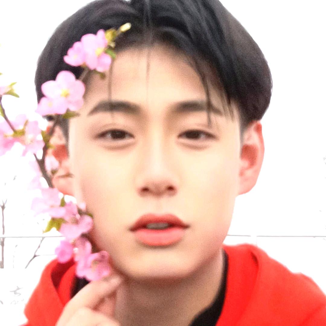 一个锅子