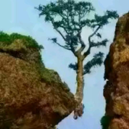 兵哥小号《上麦聊天交友》