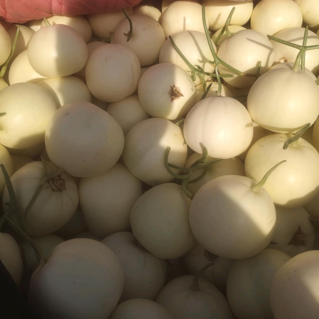 内黄果蔬代办小冯