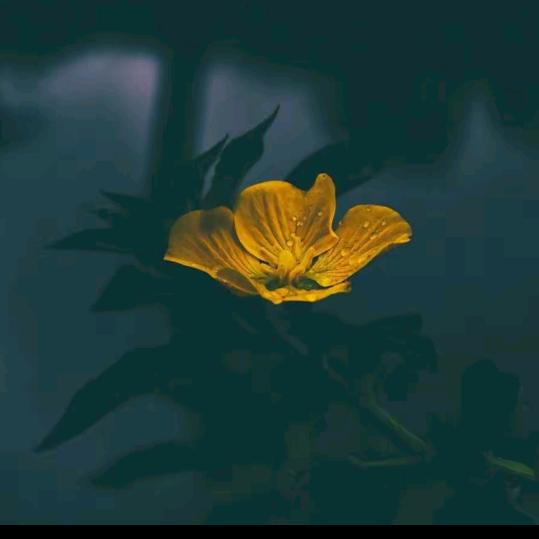 姐的霸气你不懂