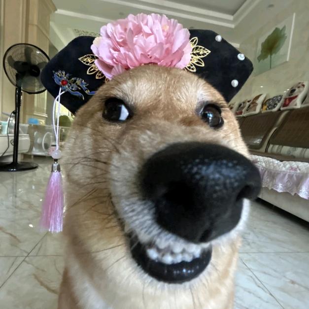 小轩儿~