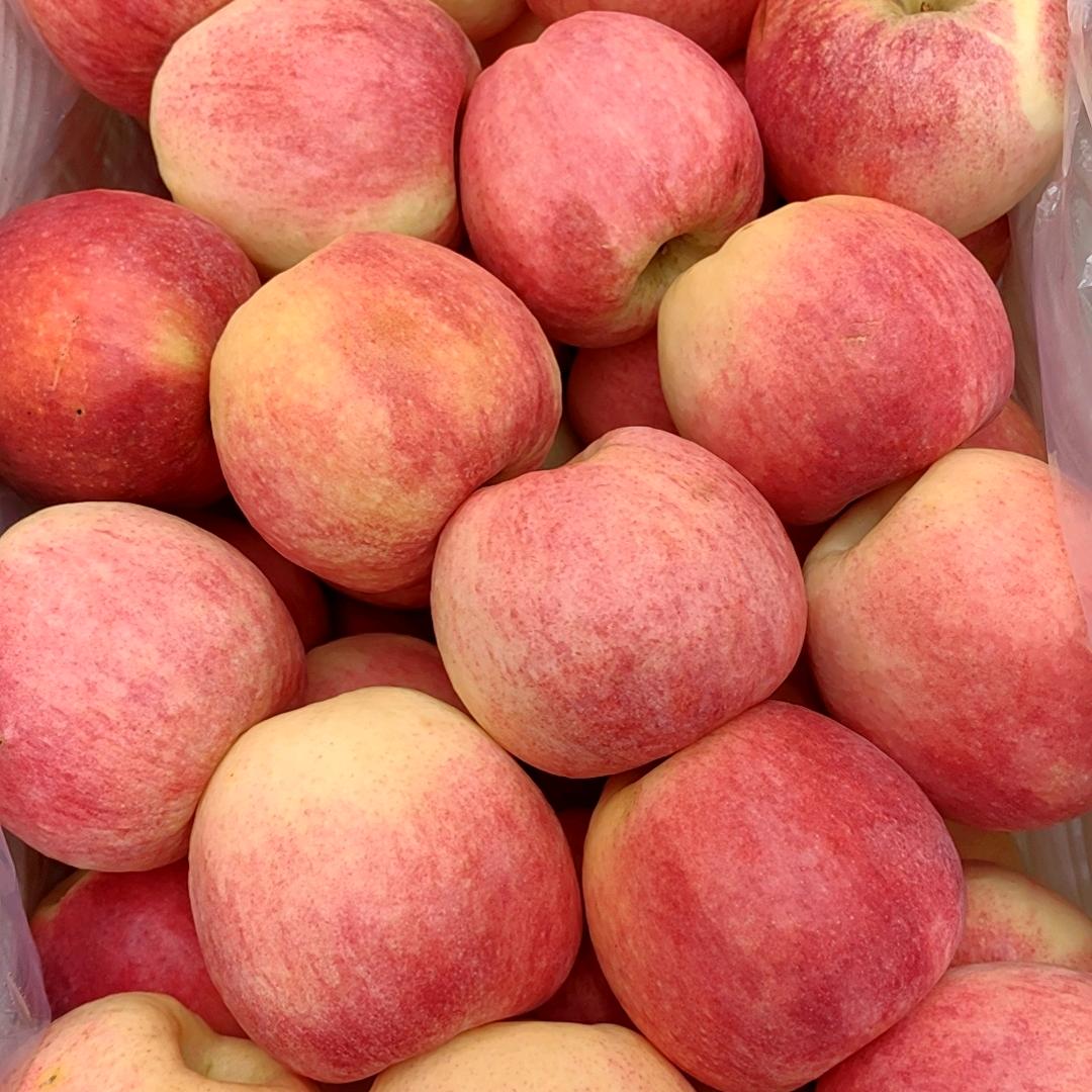 以后当个很毒的人！