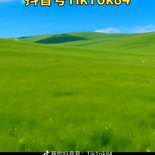 许多年以后¹⁰⁰¹