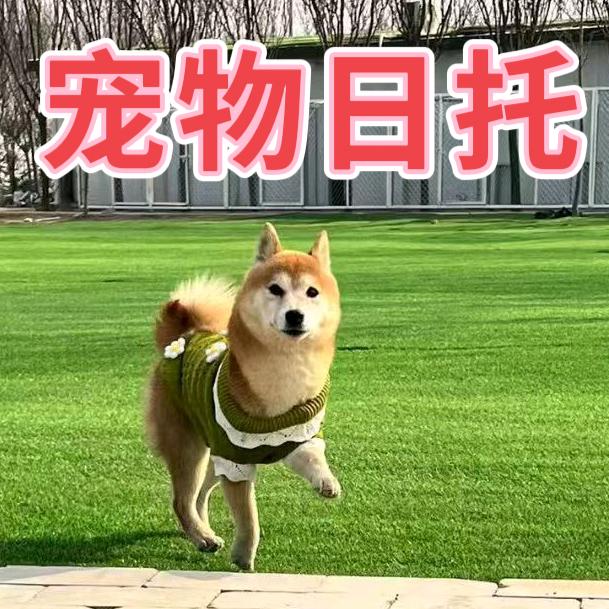 几只猫狗寄养农场官方号