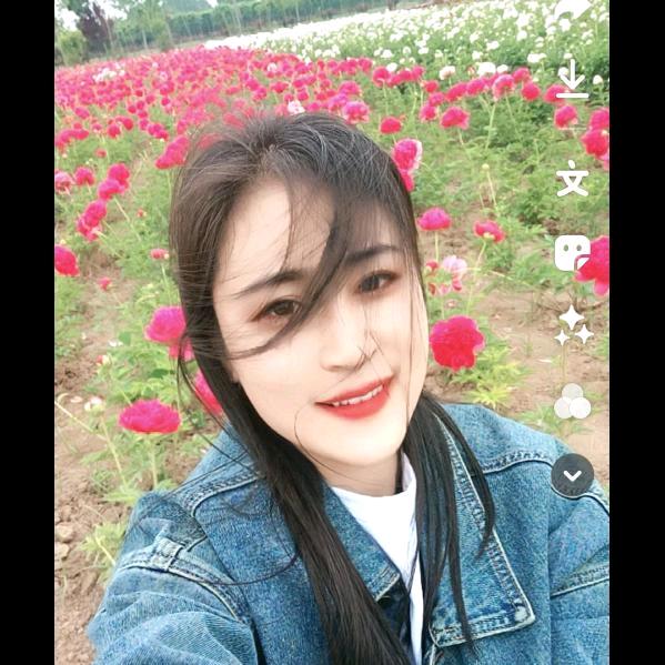 程子姐姐