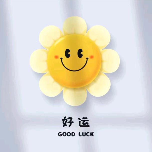 •﹏•小地主……