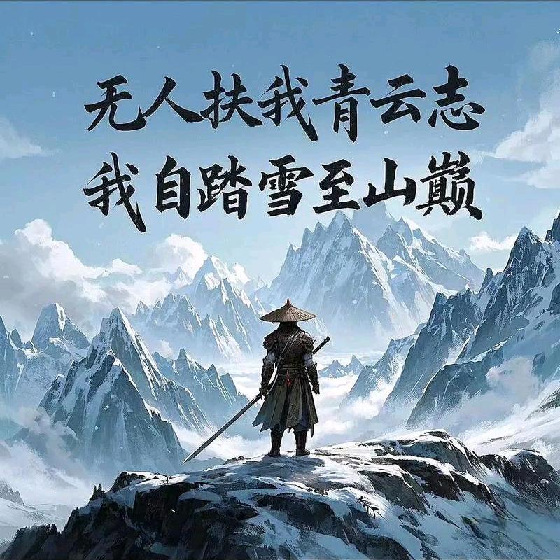 我自踏雪至山巅