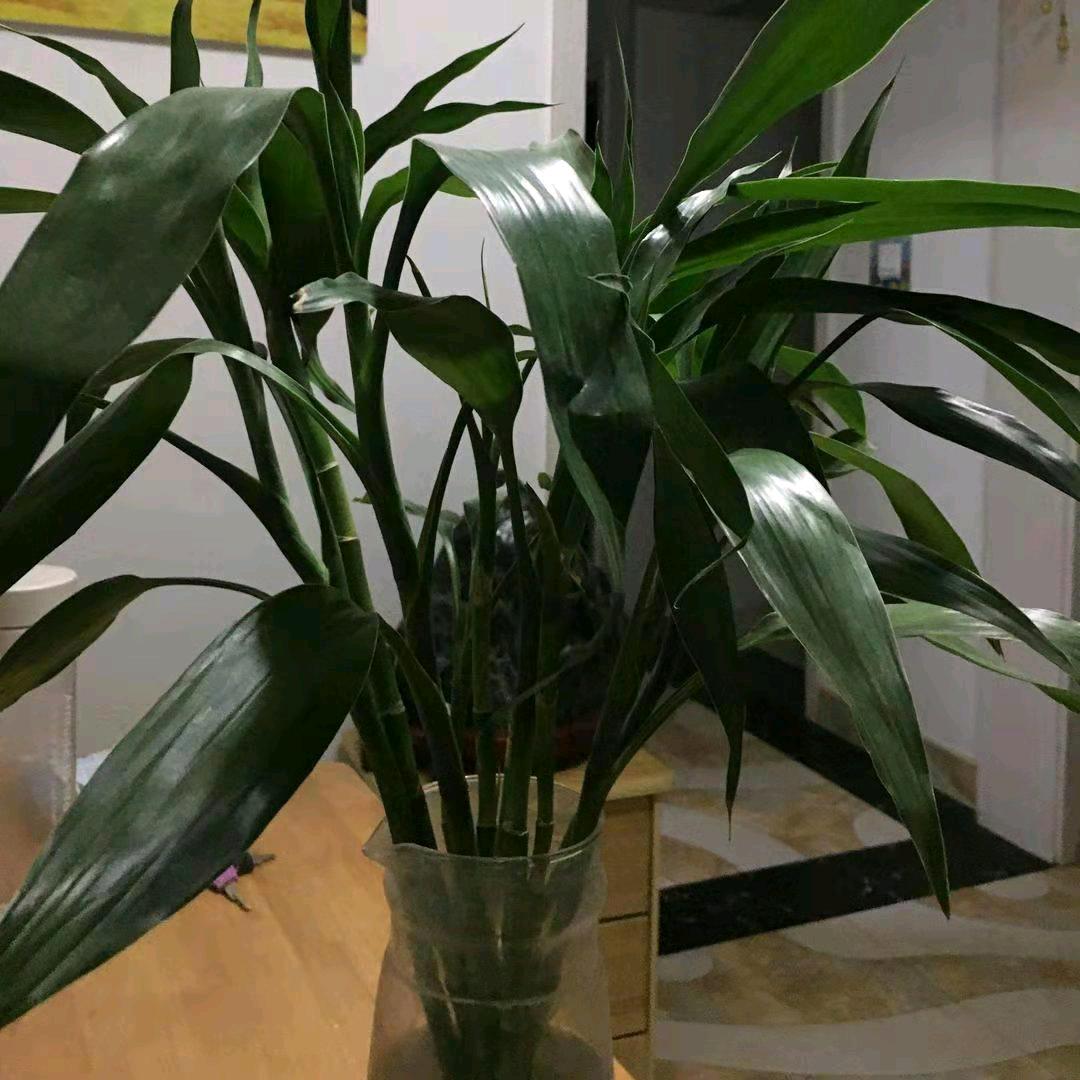 平安