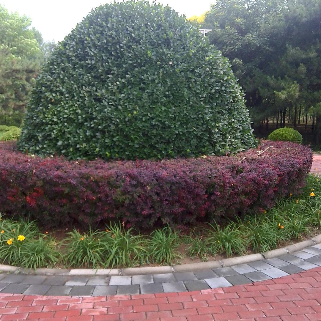有你真好