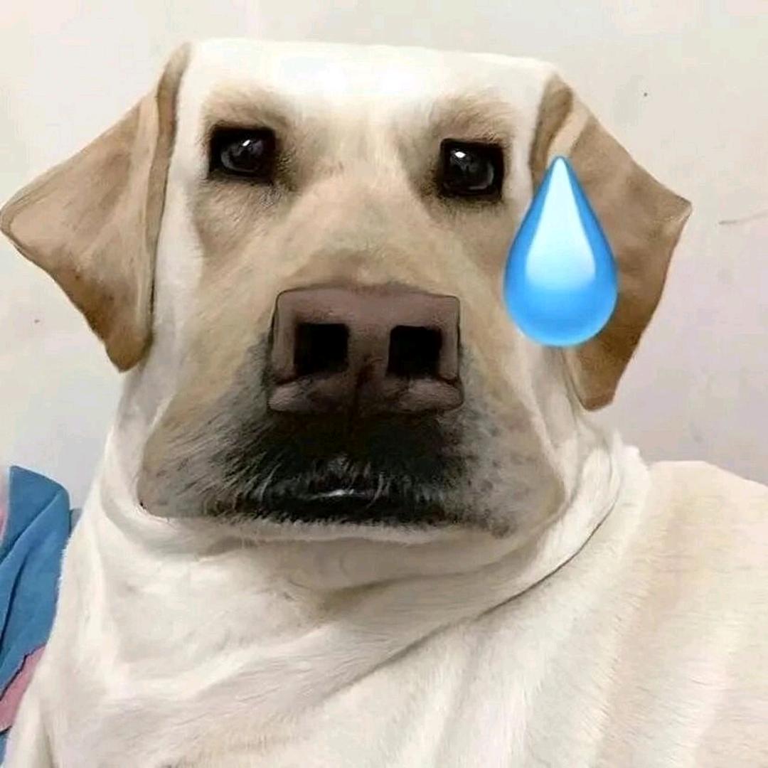 你给我回去