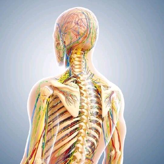 颈肩腰腿痛中西康复工作室