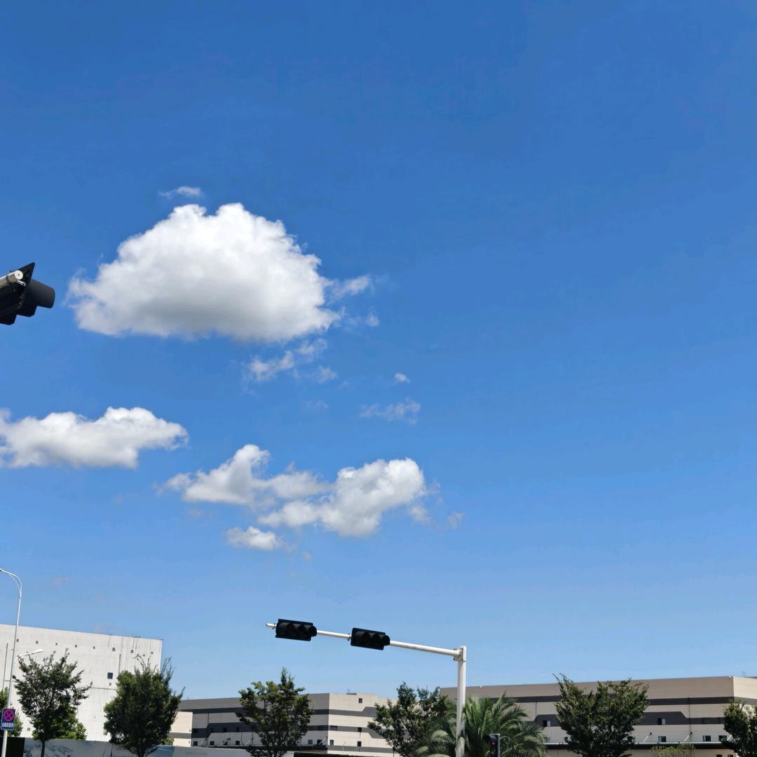 凤凰状元府李丹