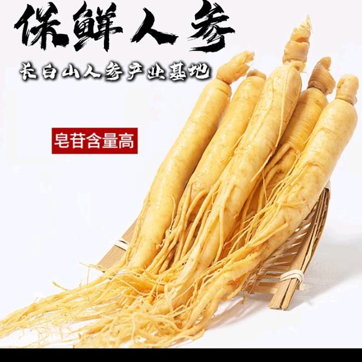 长白山人参