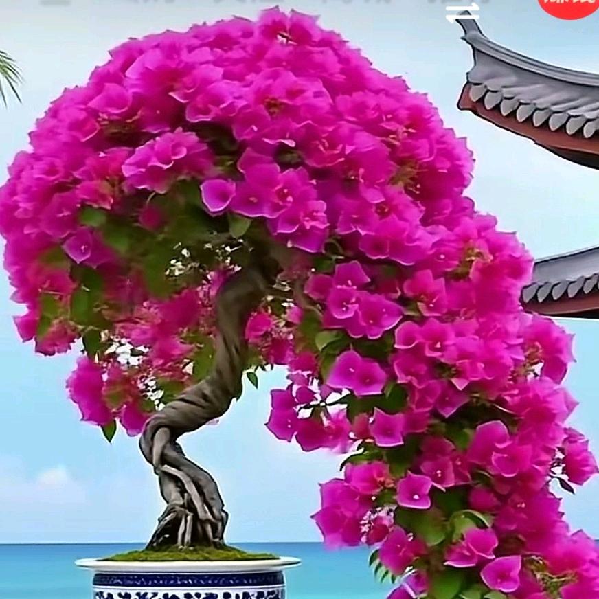 越来越好