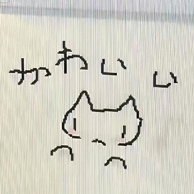 南瓜