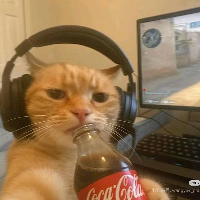 ——