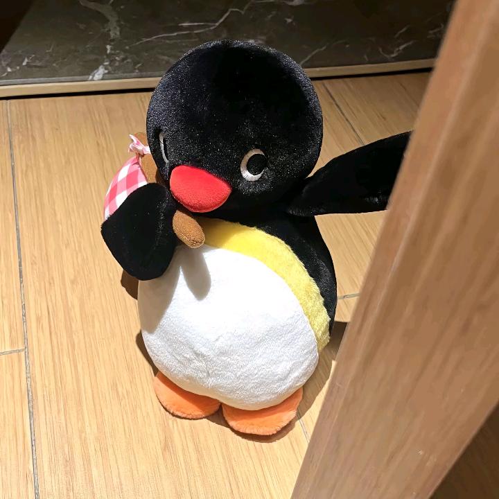 小熊🧸
