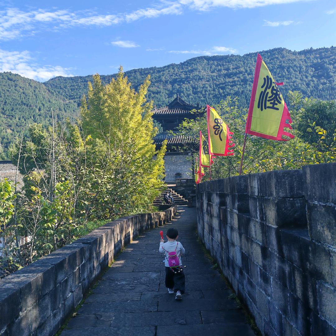 小麦
