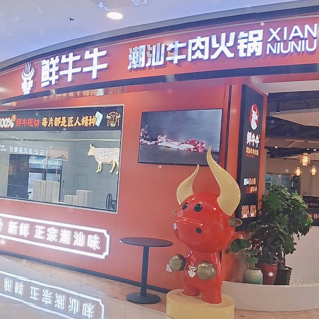 鲜牛牛潮汕牛肉火锅丰禾万达店