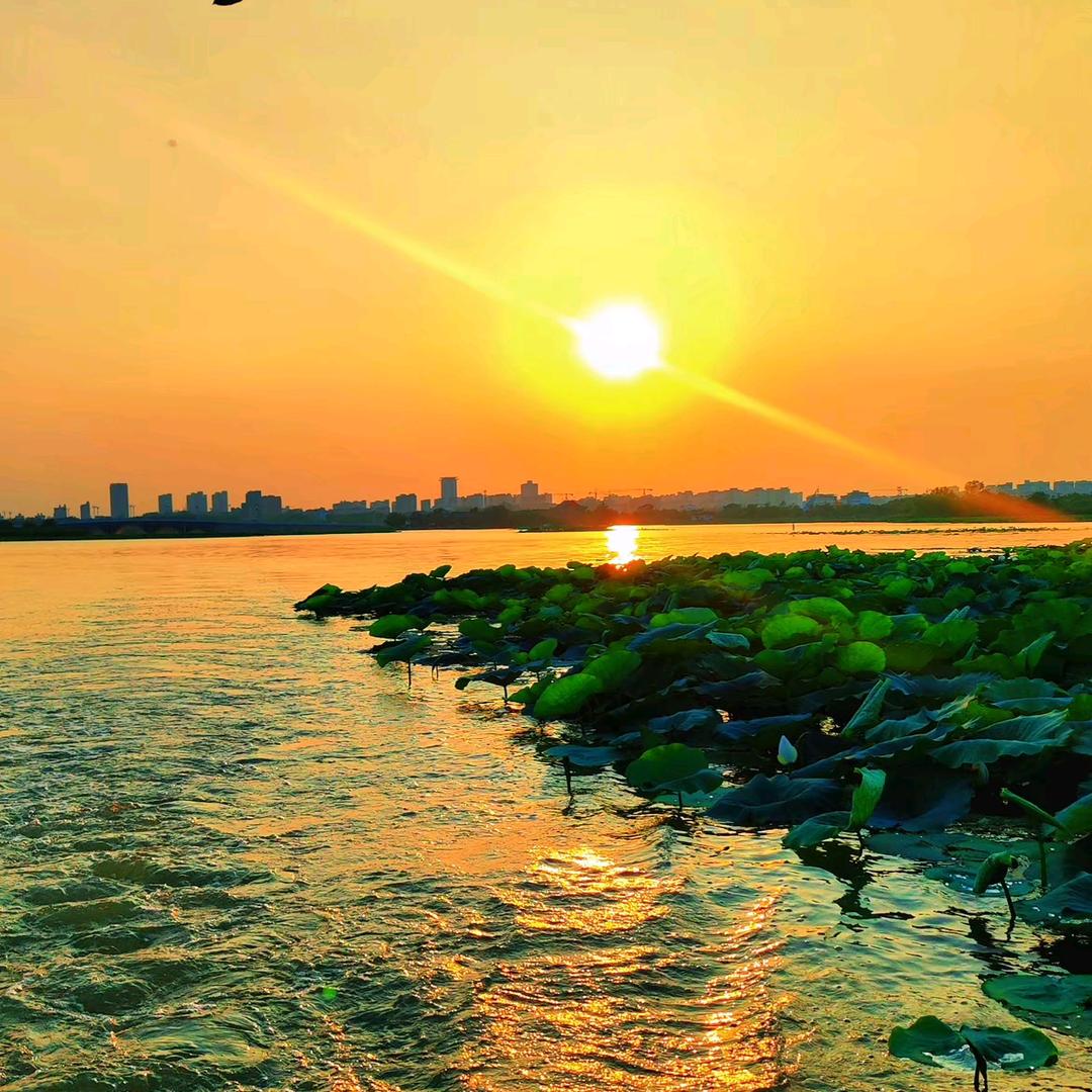 ঞ🐟额暴涨꧔ꦿ᭄࿐