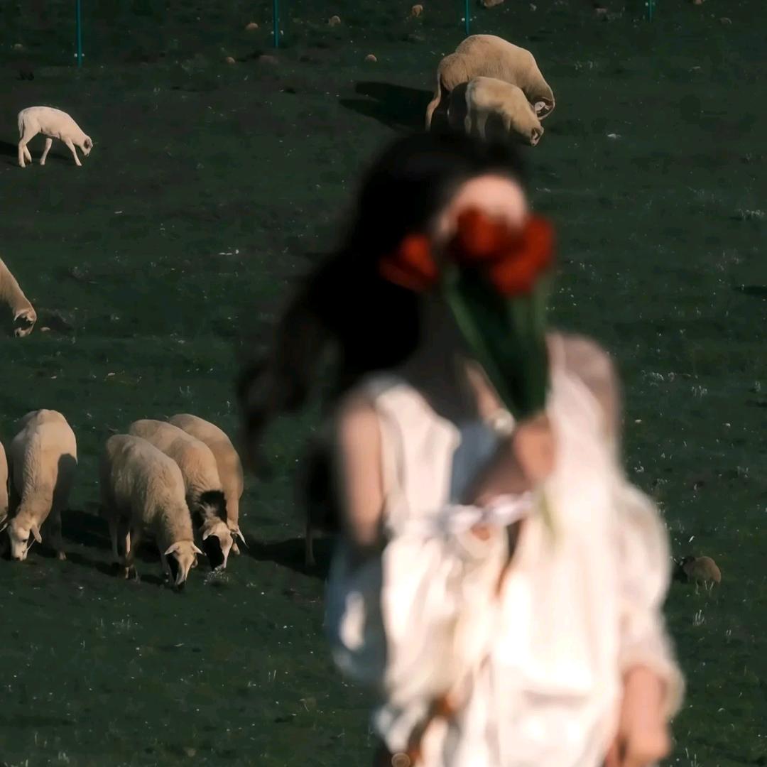 camellia.(๑òᆺó๑)