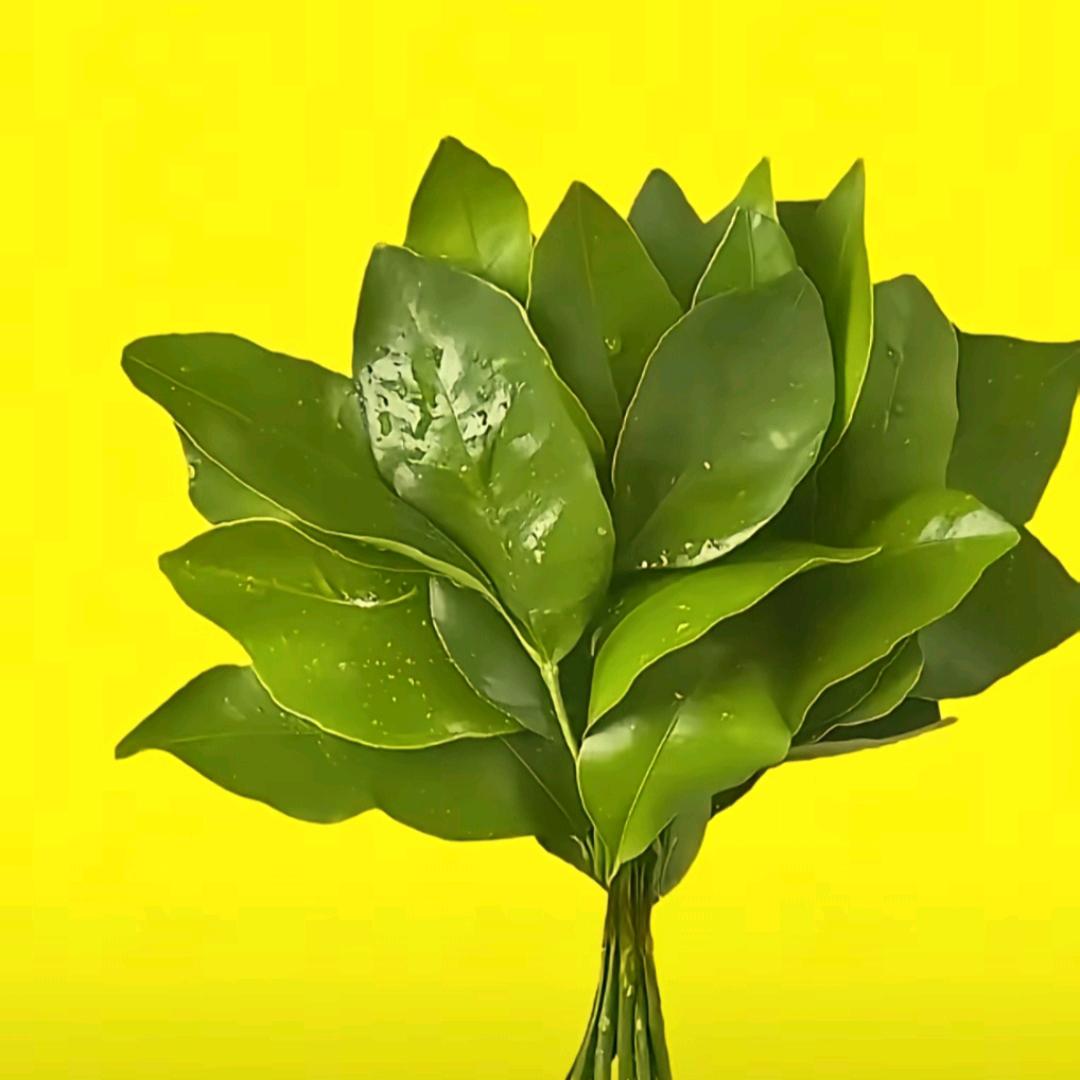 💞ღ᭄小富婆🦋꧔ꦿ᭄