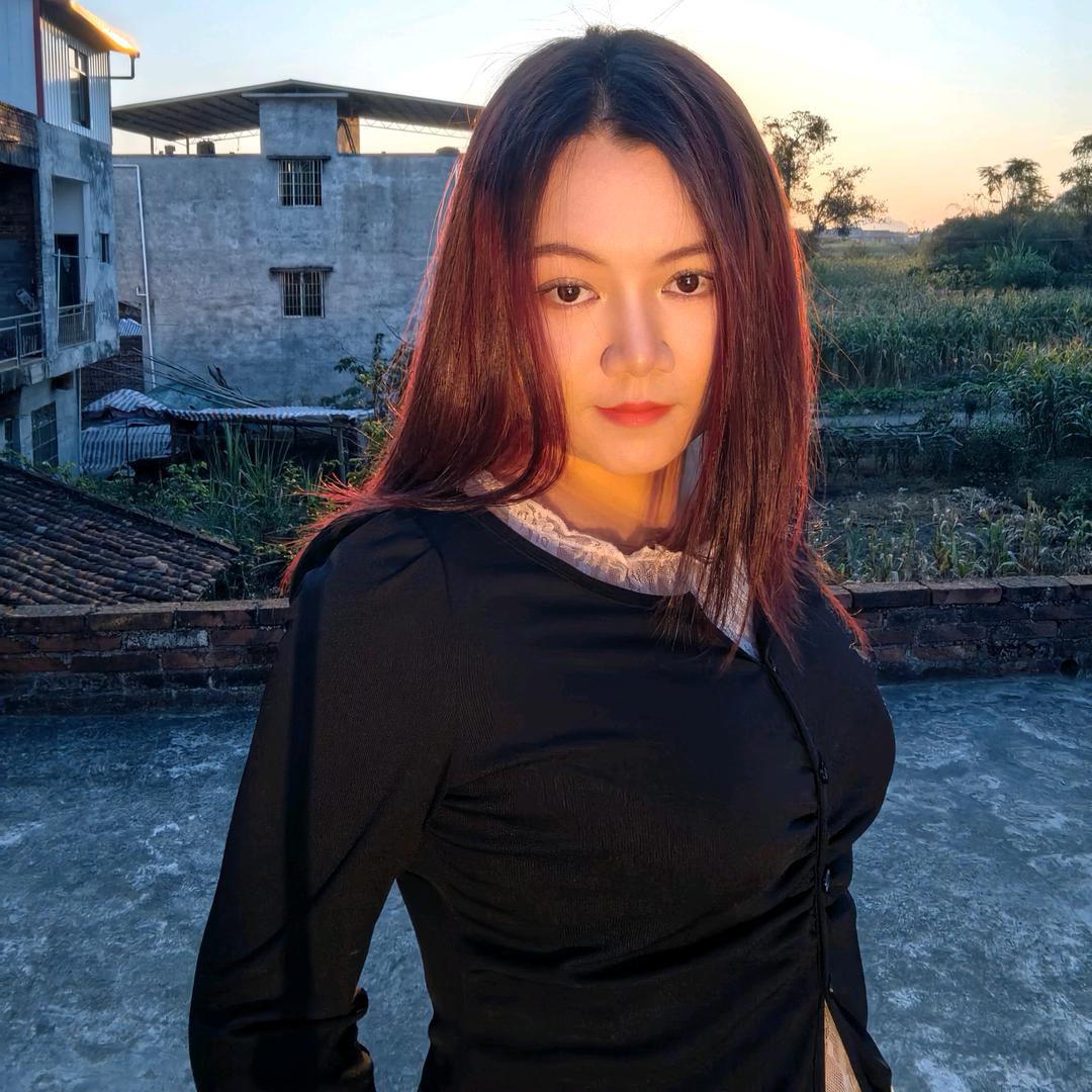 憨憨是只猫