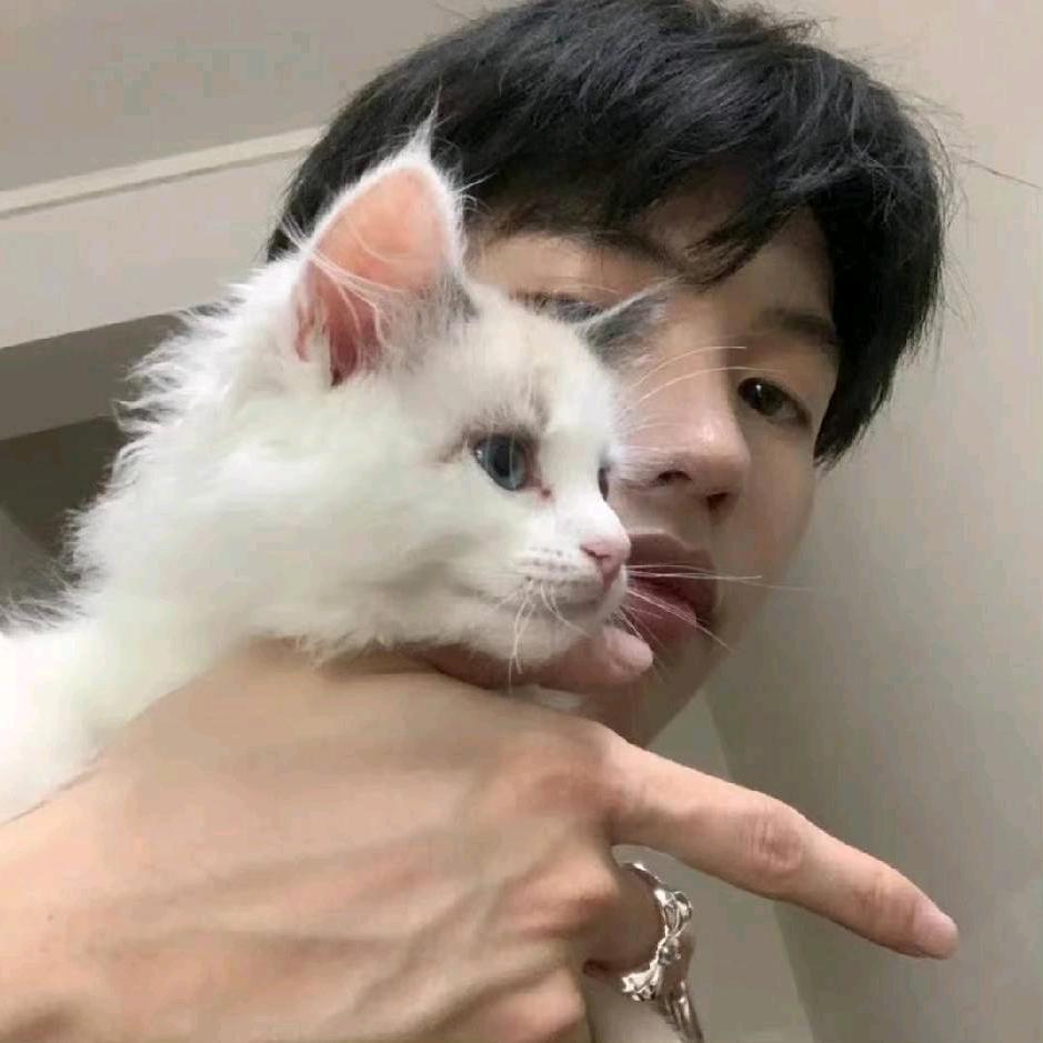 昨夜做梦挣了一个亿