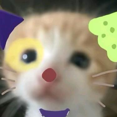 祁沁