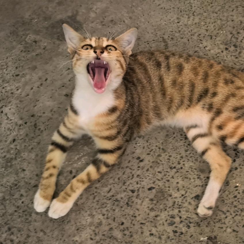 中中中