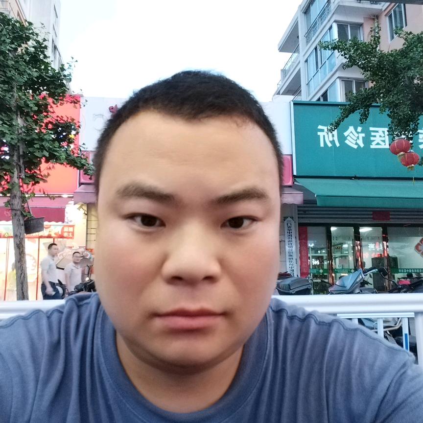 杨