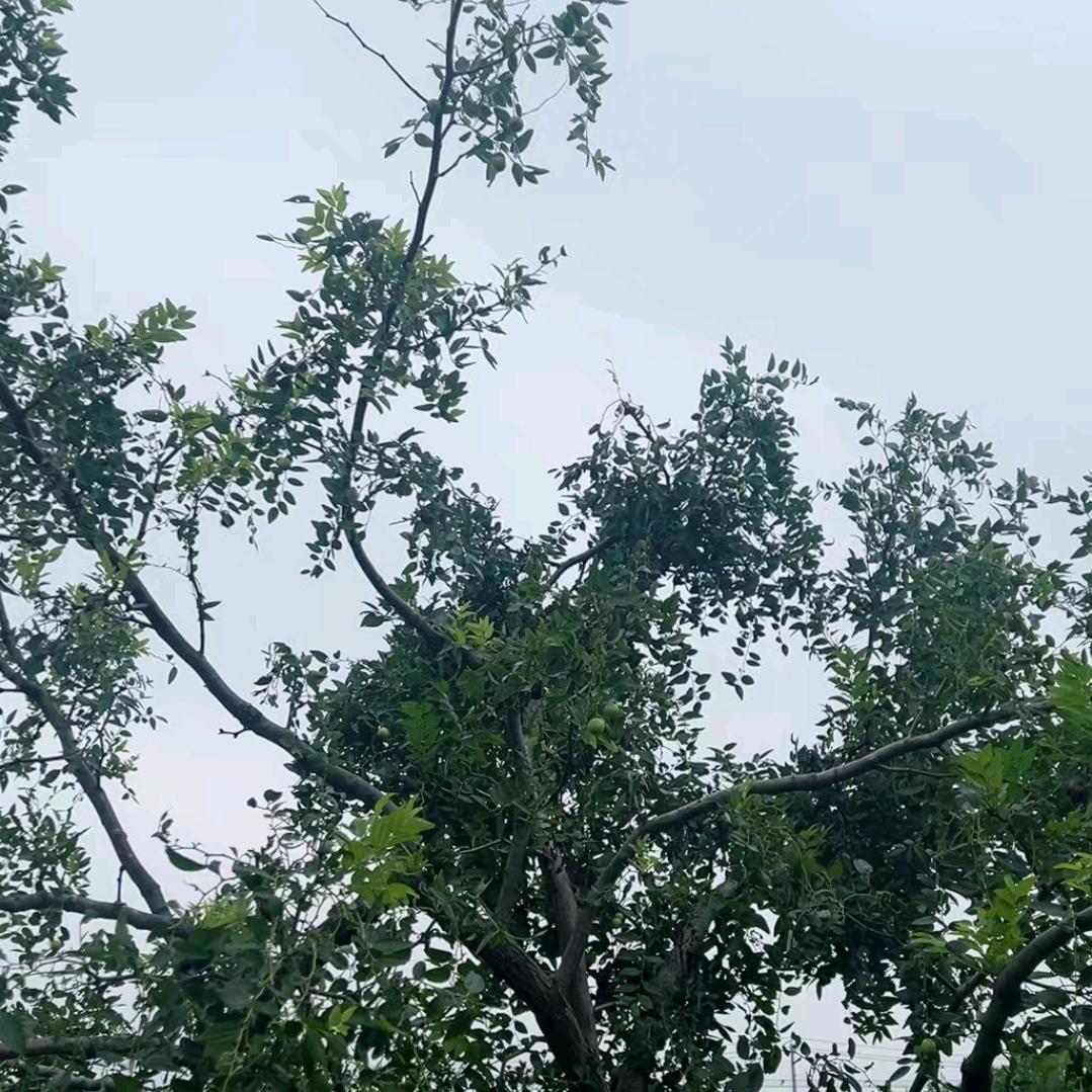 用户8280511531314