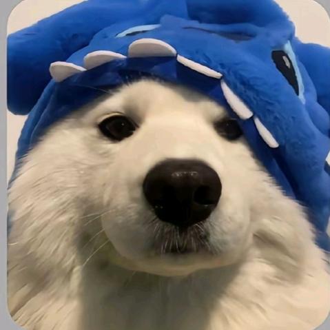 可乐@