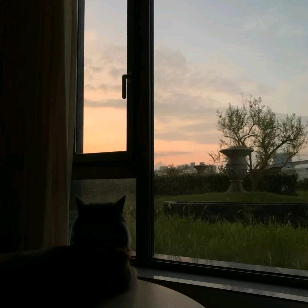 又打瞌睡了💤