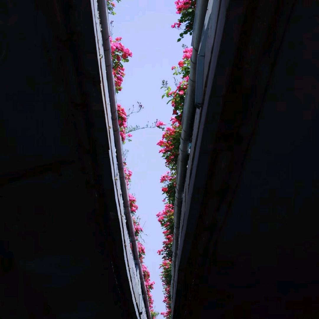 @@