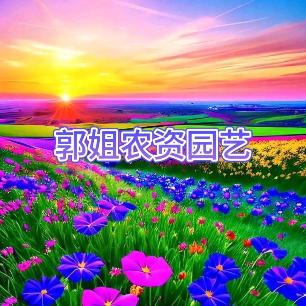 郭姐农资园艺