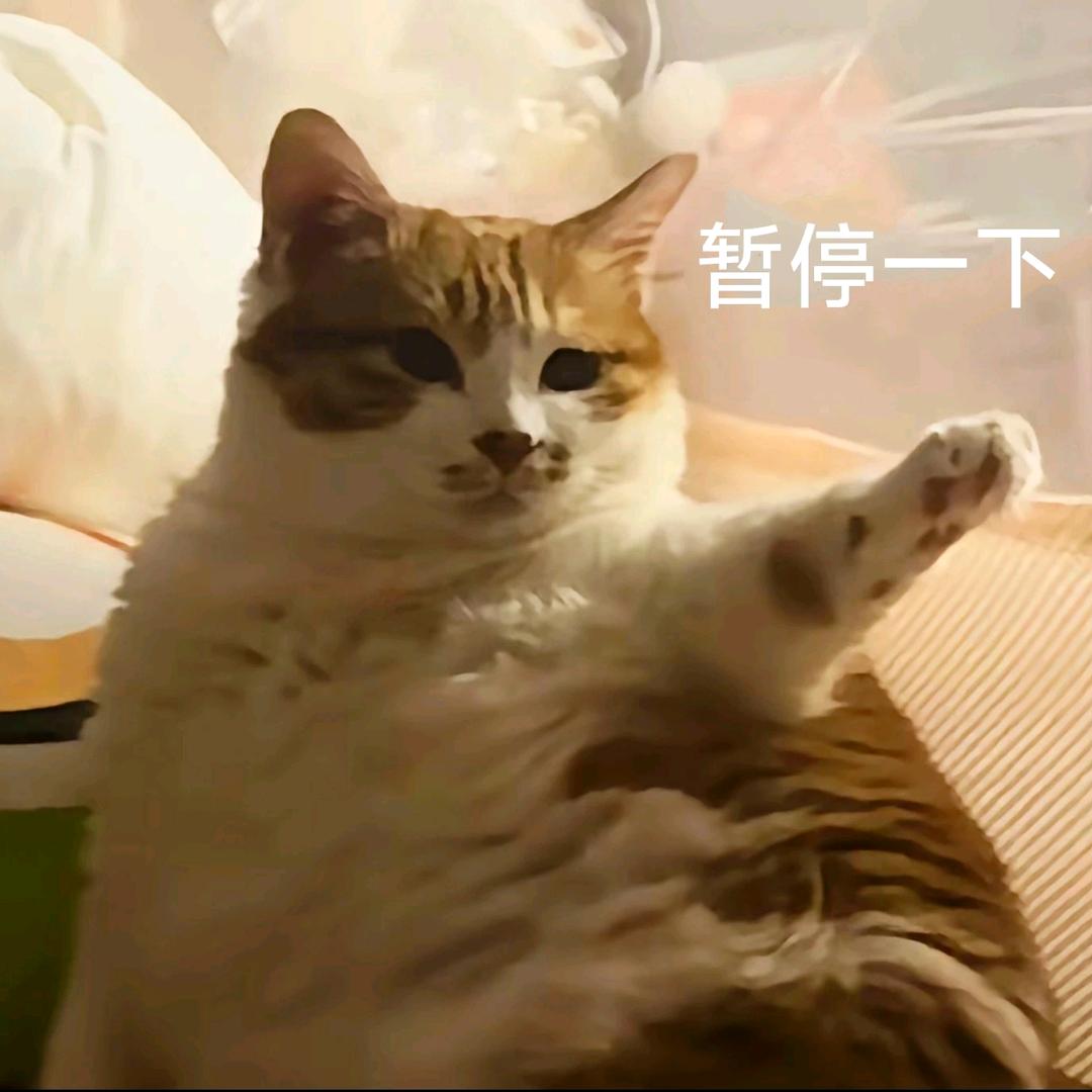 。