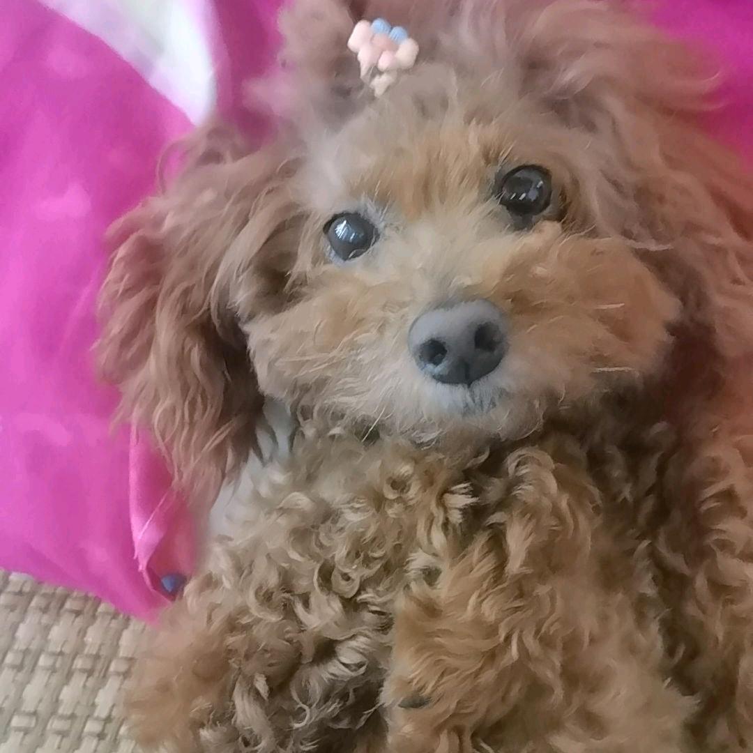 超神少个蛋