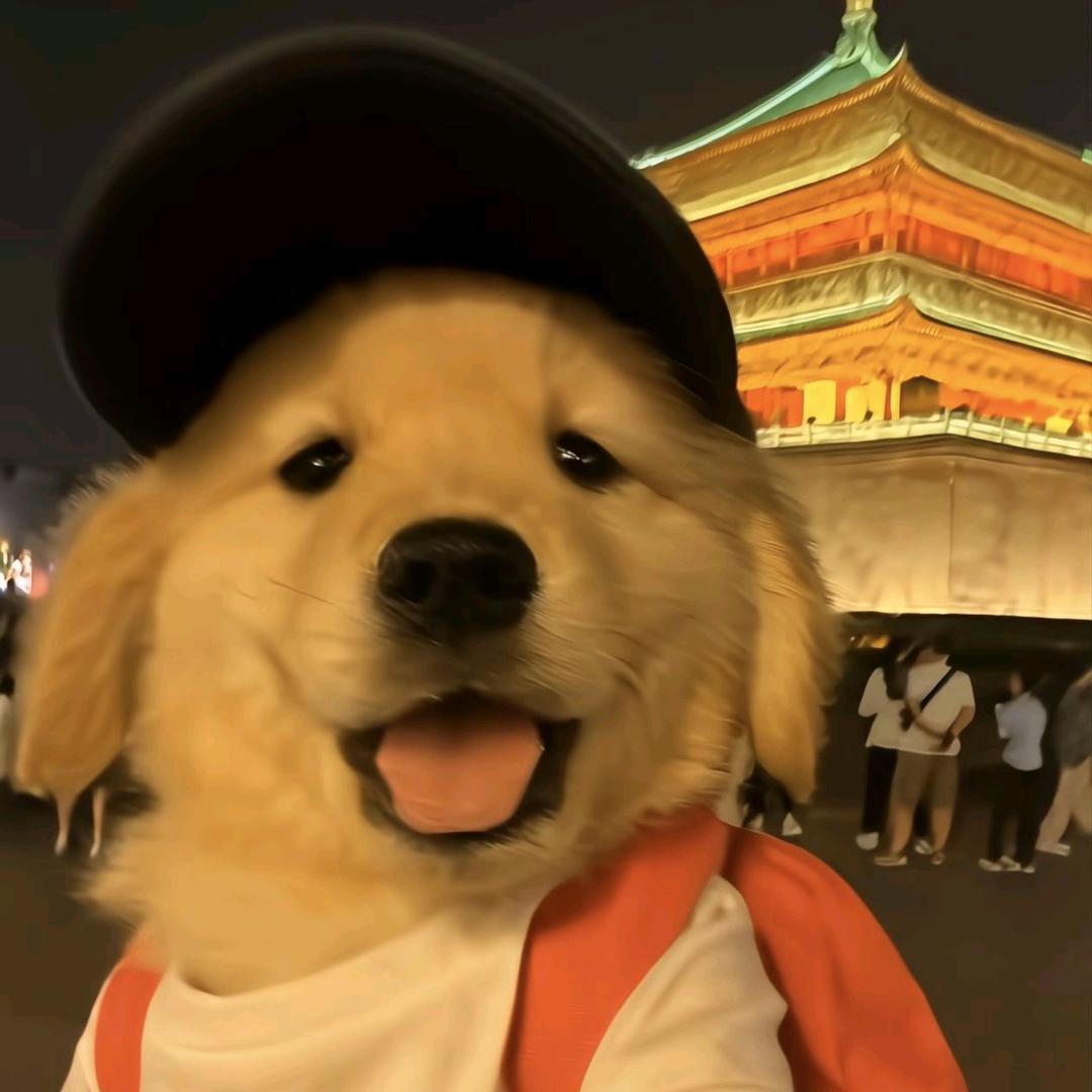卫衣波比