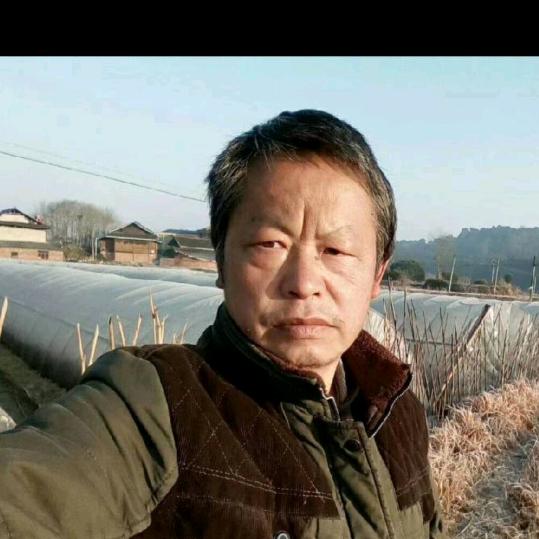 贵州高山特产土货