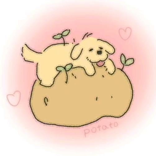 土豆 potato