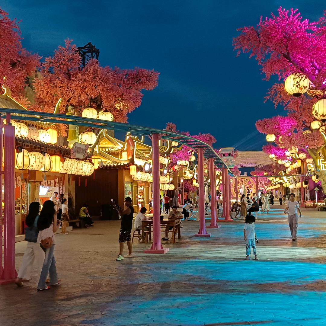 富贵花开🇨🇳