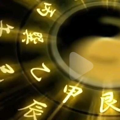 布祯