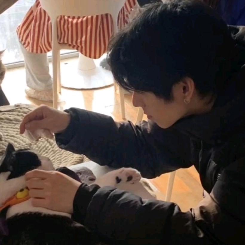 熊二🐻       IP属地：狗熊岭