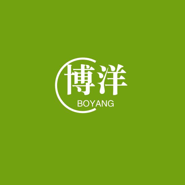 博 洋 装 饰