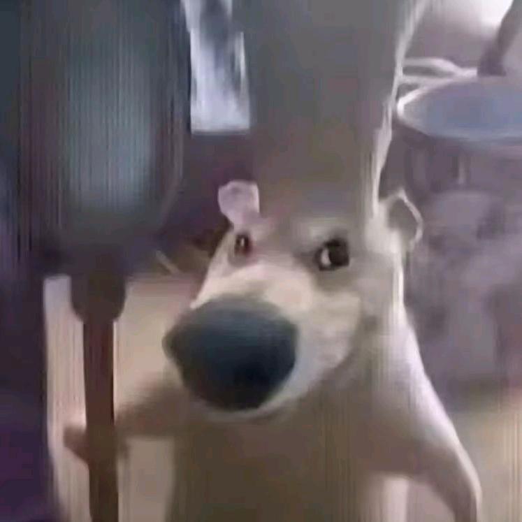 🌚
