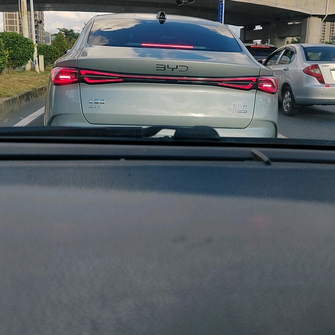华麗登场