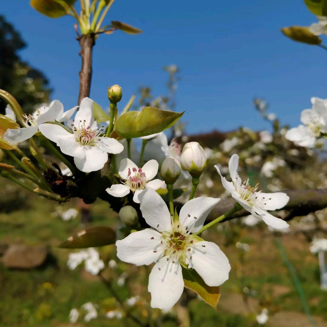 骑着蜗牛去环游
