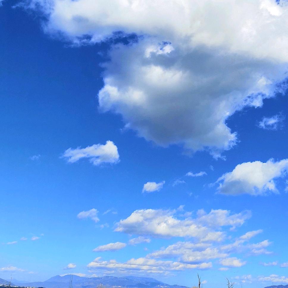 (˵¯͒〰¯͒˵)傻🌷丫˃ʍ˂头